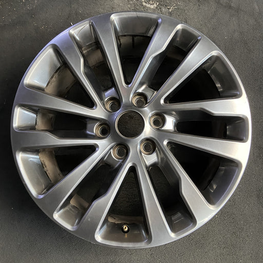 20" EXPEDITION 19 20x8.5, 12 spoke Original OEM Wheel Rim - Additional View