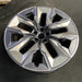 21" 750e 24-26 21x10.5, 5 spoke, V spoke, silver inserts Original OEM Wheel Rim - View 7