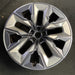 21" 750e 24-26 21x10.5, 5 spoke, V spoke, silver inserts Original OEM Wheel Rim - Additional View
