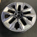 21" 750e 24-26 21x10.5, 5 spoke, V spoke, silver inserts Original OEM Wheel Rim - View 7