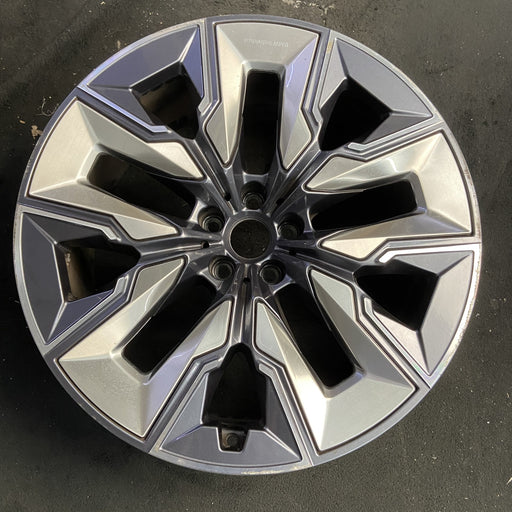 21" 750e 24-26 21x9, 5 spoke, V spoke, silver inserts Original OEM Wheel Rim - Additional View