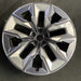 21" 750e 24-26 21x9, 5 spoke, V spoke, silver inserts Original OEM Wheel Rim - Additional View