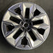 21" 750e 24-26 21x9, 5 spoke, V spoke, silver inserts Original OEM Wheel Rim - Additional View