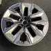 21" 750e 24-26 21x9, 5 spoke, V spoke, silver inserts Original OEM Wheel Rim - View 7