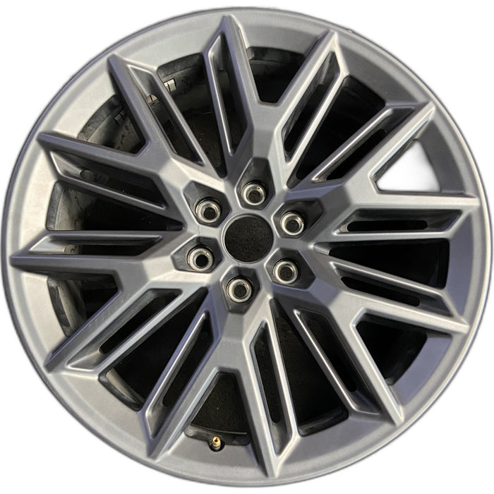 22" EXPEDITION 25-26 22x9, 6 spoke, V spoke Original OEM Wheel Rim - Front View