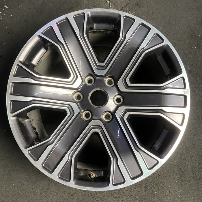 20" WAGONEER 22-23 20x9, , straight spoke Original OEM Wheel Rim - MACHINED - Additional View