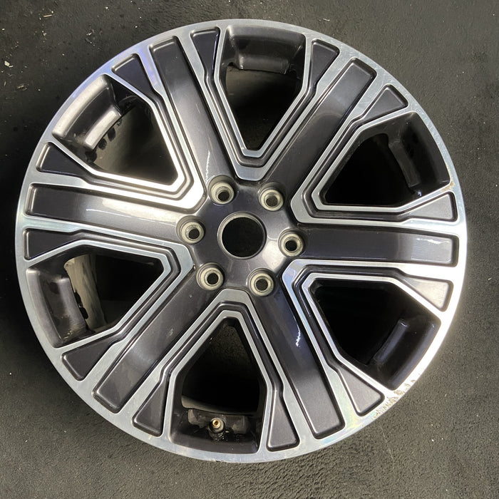 20" WAGONEER 22-23 20x9, , straight spoke Original OEM Wheel Rim - MACHINED - Additional View