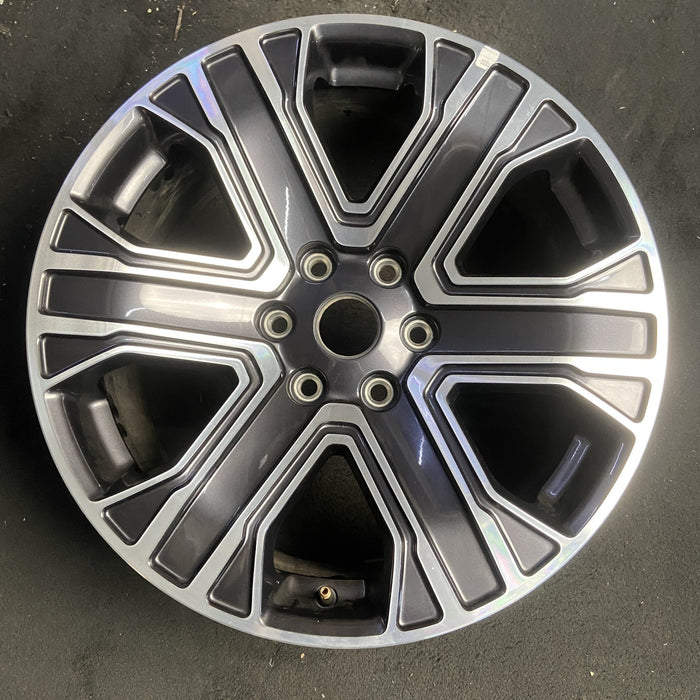 20" WAGONEER 22-23 20x9, , straight spoke Original OEM Wheel Rim - MACHINED - Additional View