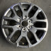 20" SEQUOIA 23 20x8, 6 Y spoke Original OEM Wheel Rim - CHARCOAL - Additional View
