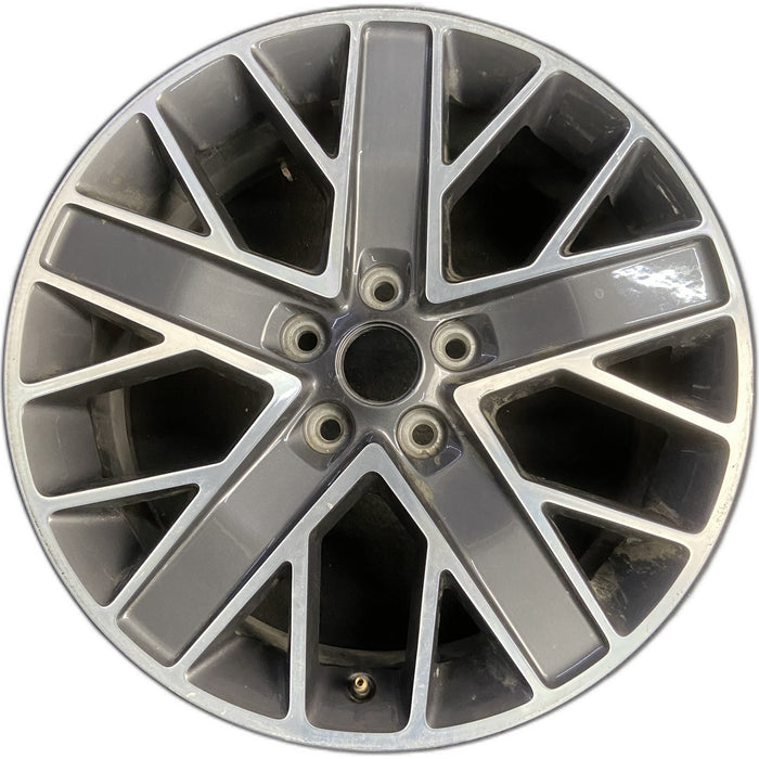 20" WRANGLER 22-23 20x8 , double spoke Original OEM Wheel Rim - MACHINED - Front View