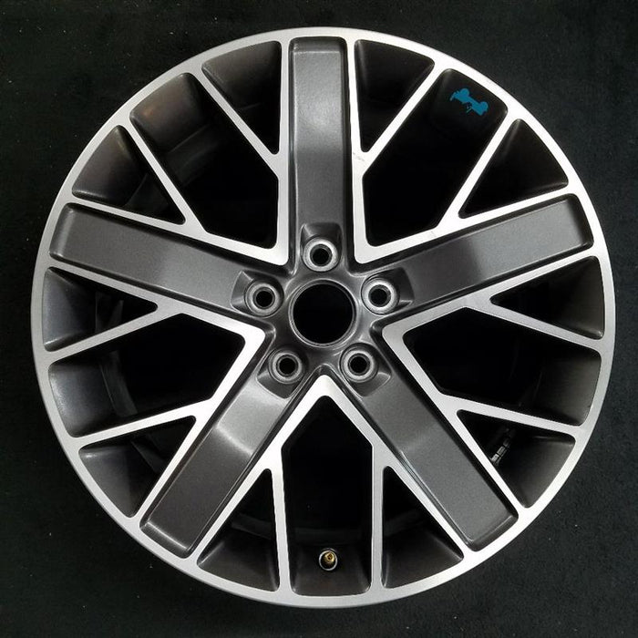 20" WRANGLER 22-23 20x8 , double spoke Original OEM Wheel Rim - Front View
