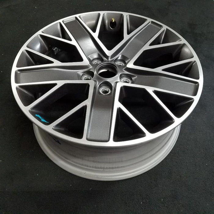 20" WRANGLER 22-23 20x8 , double spoke Original OEM Wheel Rim - Close-Up Detail